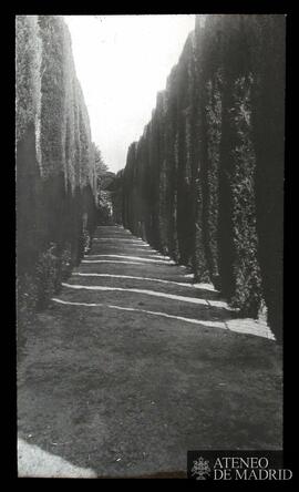 Jardines de la fábrica de paños de Brihuega. Calle de los cipreses