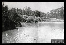 Perspectivas del Paseo del Prado [Estanque con patos] [Aranjuez ?]