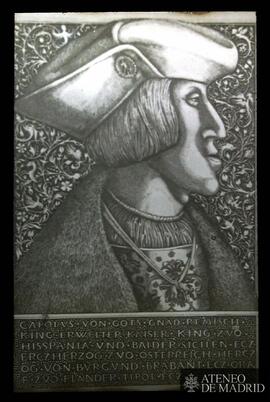 
[Retrato de Carlos V]
