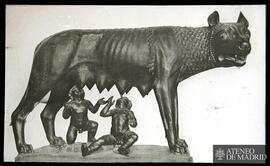 Loba capitolina