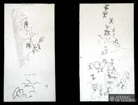 ¿Pinturas rupestres?