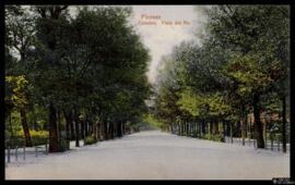 Tarjeta postal a color del Viale del Re del Parque de Cascine en Florencia editada por H. Guggenh...