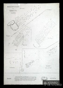 Carnac (Bretaña). Plantas de alineaciones