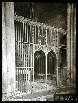 
Verja del Claustro de la Catedral de Barcelona.
