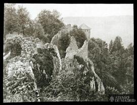 
Bosque y ruinas de un edificio
