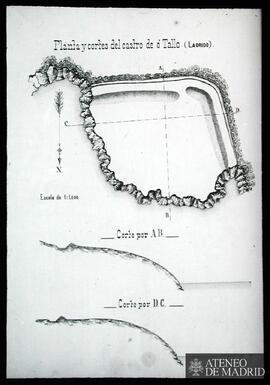 Ladrido (Ortigueira). Planta y cortes del castro de ó Tallo