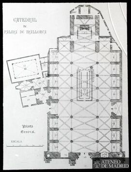 Planta de la Catedral de Palma de Mallorca.