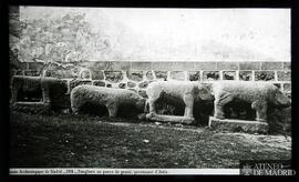 
Museo Arqueológico de Madrid. "Sangliers" o Cerdos de granito procedentes de Ávila
