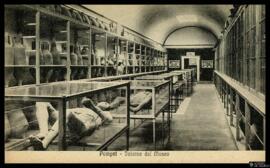 Tarjeta postal de las momias y ánforas del Antiquarium o museo de Pompeya editada por Domenico Tr...