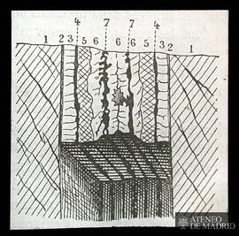 
"Filón concrecionado. 1: Caja, 2: Salbandas, 3: Cuarzo, 4: Pirita, 5: Calcita, 6: Cuarzo y ...