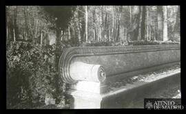 Banco del Jardín de la Isla en Aranjuez