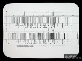 
Espectros de Orionis y Aldebaran
