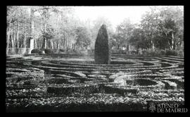 Parterre del Jardín de la Isla en Aranjuez