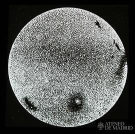 
El cometa de 1819 pasando delante del Sol
