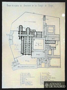 Planta del monasterio de Las Huelgas. (Burgos)
