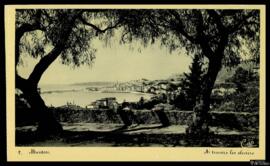 Tarjeta postal de vista general de Menton desde los olivos del Parc du Pian editada por la Compag...