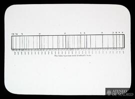 
Espectro Solar (Kirchhoff)
