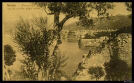 Tarjeta postal circulada de vista panorámica de Sorrento desde el olivar remitida por [Harryt Mic...