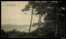 Tarjeta postal de vista del paisaje de la costa de Moulleau en Arcachón editada por Lévy Fils et ...