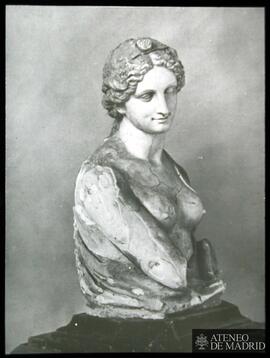 
Busto de una mujer
