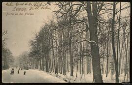 Tarjeta postal circulada de vista exterior de un parque junto al río Pleisse en Leipzig editada p...