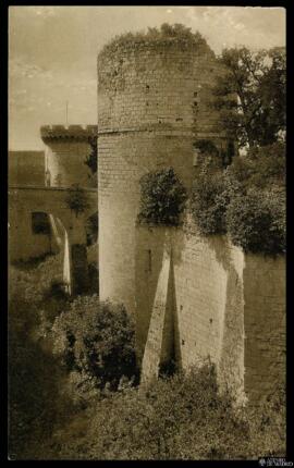 Tarjeta postal de vista exterior de la Torre de Coudry, la Torre de Boissy y los fosos del Castil...