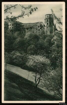 Tarjeta postal de vista general del Castillo de Heidelberg en primavera editada por el J. Velten ...