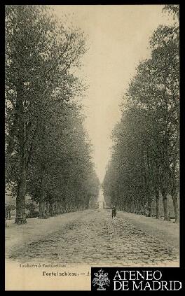 Tarjeta postal de la avenue de Maintenon en Fontainebleau editada por Baudinière en la misma ciudad