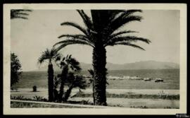 Tarjeta postal de vista del paisaje de la costa de Cannes hacia la cadena montañosa del Massif de...