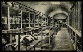 Tarjeta postal de vista interior del Museo de Pompeya y las vitrinas de las momias de la erupción...