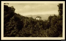 Tarjeta postal de vista panorámica del bosque del Monte Filerinos, conocido como Monte del Profet...