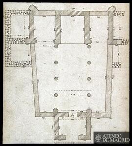 Planta de San Juan de Baños (Palencia)