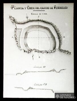 
Ortigueira (La Coruña). Planta y corte del castro romano de Fornelos
