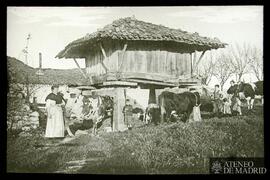 Gijón (Asturias). Mujeres y niños junto a un hórreo y unas vacas